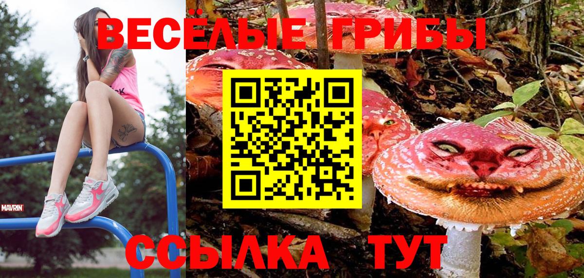 Галлюциногенные грибы ЛСД Урай